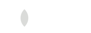 ToRa Lausitz Logo